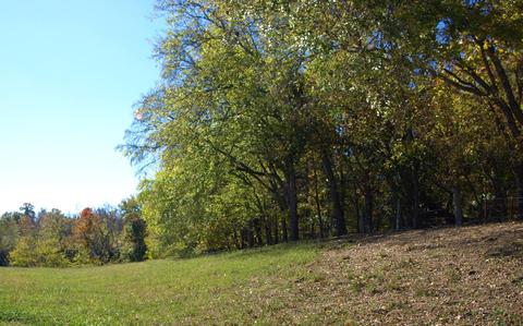 390 Culver Road Limestone Tn 37681, Limestone, TN 37681 photo 51