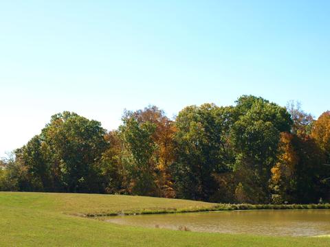 390 Culver Road Limestone Tn 37681, Limestone, TN 37681 photo 56