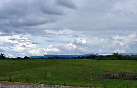 390 Culver Road Limestone Tn 37681, Limestone, TN 37681 photo 4