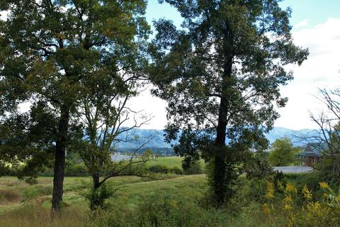390 Culver Road Limestone Tn 37681, Limestone, TN 37681 photo 40