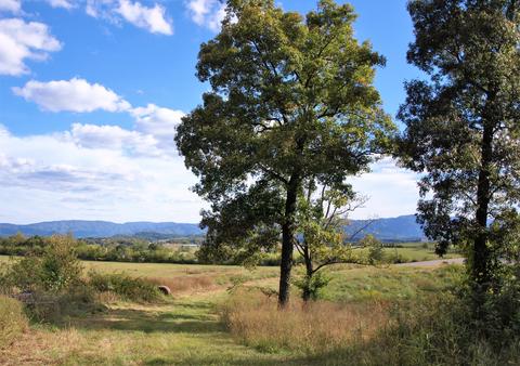 390 Culver Road Limestone Tn 37681, Limestone, TN 37681 photo 39