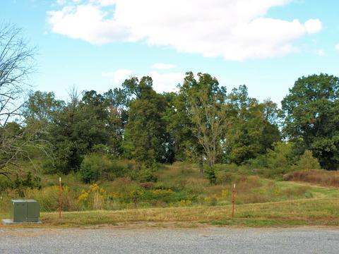 390 Culver Road Limestone Tn 37681, Limestone, TN 37681 photo 34