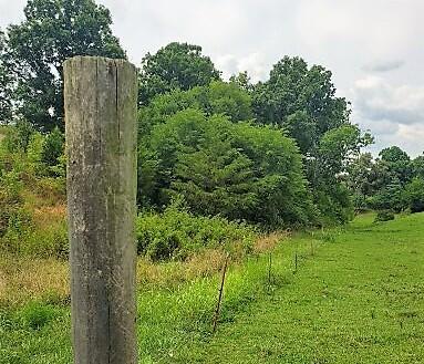 390 Culver Road Limestone Tn 37681, Limestone, TN 37681 photo 9