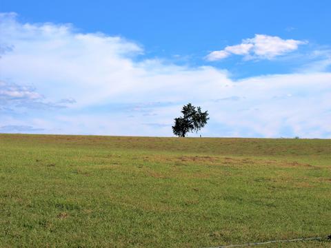 390 Culver Road Limestone Tn 37681, Limestone, TN 37681 photo 44