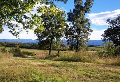390 Culver Road Limestone Tn 37681, Limestone, TN 37681 photo 36