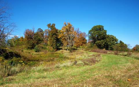 390 Culver Road Limestone Tn 37681, Limestone, TN 37681 photo 60