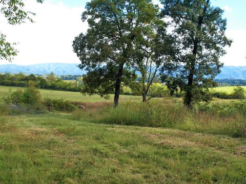 390 Culver Road Limestone Tn 37681, Limestone, TN 37681 photo 37