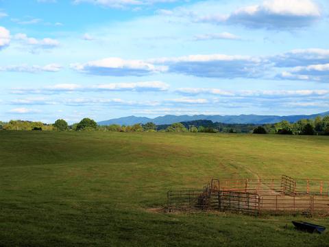 390 Culver Road Limestone Tn 37681, Limestone, TN 37681 photo 43