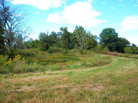 390 Culver Road Limestone Tn 37681, Limestone, TN 37681 photo 33