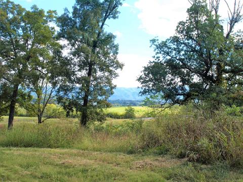 390 Culver Road Limestone Tn 37681, Limestone, TN 37681 photo 38