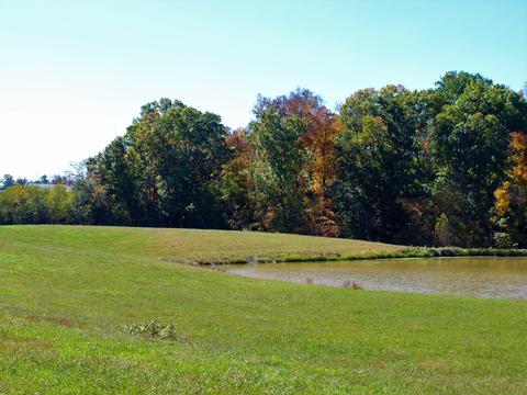 390 Culver Road Limestone Tn 37681, Limestone, TN 37681 photo 57