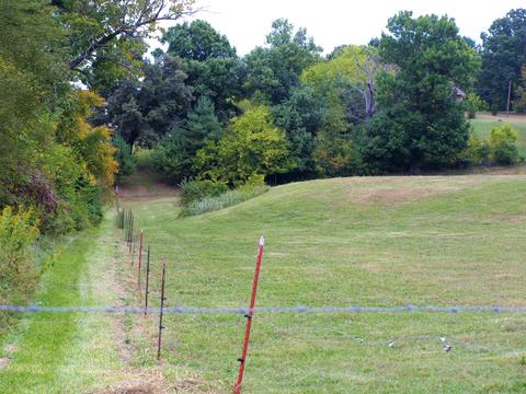 390 Culver Road Limestone Tn 37681, Limestone, TN 37681 photo 10