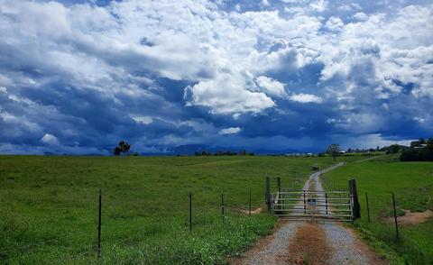 390 Culver Road Limestone Tn 37681, Limestone, TN 37681 photo 5