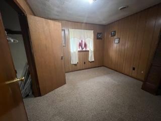 27450 Overbrook Drive Meadowview Va 24361, Meadowview, VA 24361 photo 8