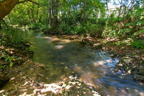 125 Earl Baxter Road Chuckey Tn 37641, Chuckey, TN 37641 photo 43