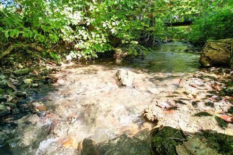 125 Earl Baxter Road Chuckey Tn 37641, Chuckey, TN 37641 photo 44
