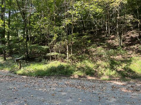 0 Bethel Rd Nickelsville Va 24271, Nickelsville, VA 24271