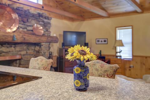 212 Bumpus Cove Road Erwin Tn 37650, Erwin, TN 37650 photo 10
