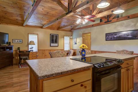 212 Bumpus Cove Road Erwin Tn 37650, Erwin, TN 37650 photo 9