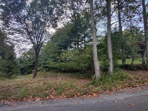 tbd Thompson Street Kingsport Tn 37660, Kingsport, TN 37660