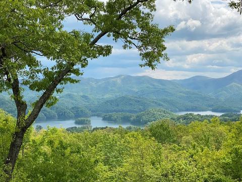 075 Lakeview Drive Butler Tn 37640, Butler, TN 37640