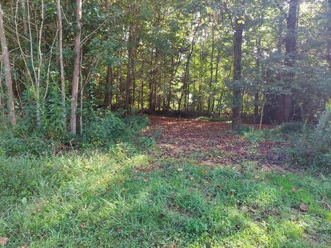 175 White Street Erwin Tn 37650, Erwin, TN 37650 photo 49