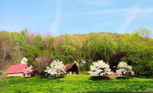 175 White Street Erwin Tn 37650, Erwin, TN 37650 photo 51