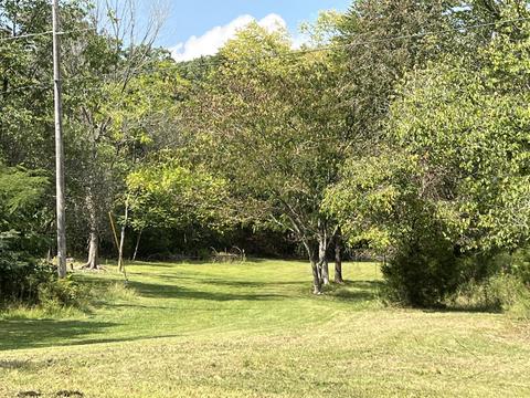 445 Frank Thacker Lane Greeneville Tn 37745, Greeneville, TN 37745 photo 11
