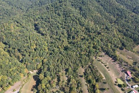 445 Frank Thacker Lane Greeneville Tn 37745, Greeneville, TN 37745 photo 16