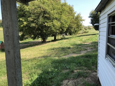 164 Big Limestone Road Limestone Tn 37681, Limestone, TN 37681 photo 47