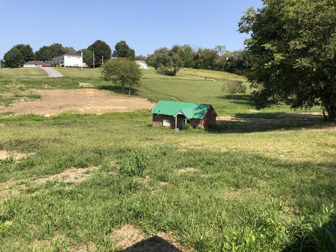 164 Big Limestone Road Limestone Tn 37681, Limestone, TN 37681 photo 46
