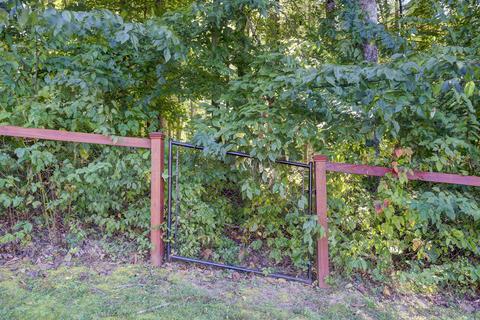 115 Brian Lane Erwin Tn 37650, Erwin, TN 37650 photo 48
