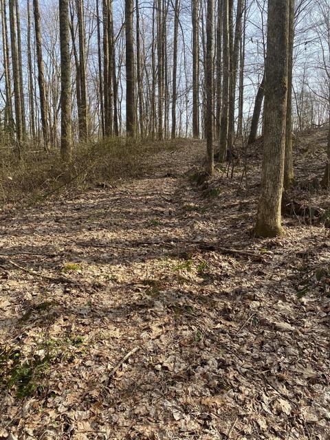 4848 Thompson Road Wise Va 24293, Wise, VA 24293 photo 3
