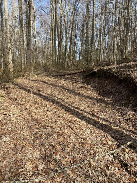 4848 Thompson Road Wise Va 24293, Wise, VA 24293 photo 5