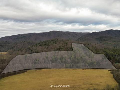tbd Roan Creek Road Road Butler Tn 37640, Butler, TN 37640