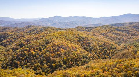 tbd E Of Roaring Creek Road Roan Mountain Tn 37687, Roan Mountain, TN 37687