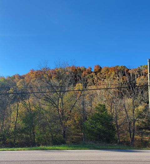 0 Gray Station-sulphur Springs Road Jonesborough Tn 37659, Jonesborough, TN 37659