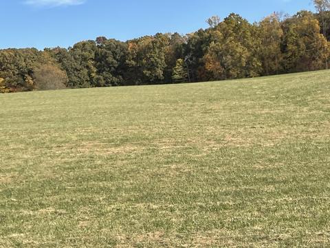 tbd Milburnton Road Lot Apt 2 Limestone Tn 37681, Limestone, TN 37681