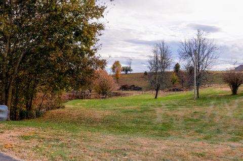 285 Carson Creek Road Limestone Tn 37681, Limestone, TN 37681 photo 3