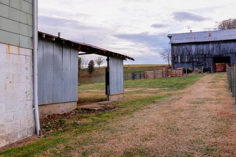 285 Carson Creek Road Limestone Tn 37681, Limestone, TN 37681 photo 4