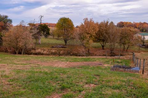 285 Carson Creek Road Limestone Tn 37681, Limestone, TN 37681 photo 11
