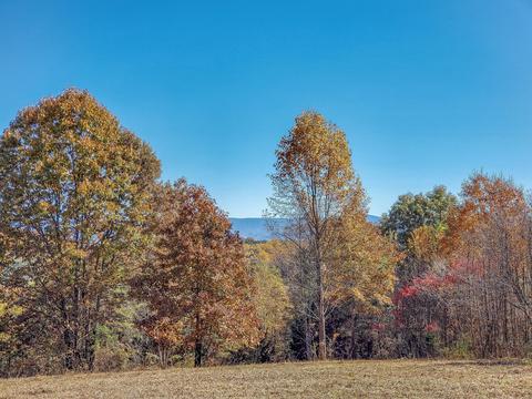 00 Harold Cemetery Road Greeneville Tn 37743, Greeneville, TN 37743
