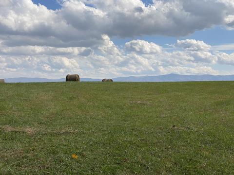 1686 N Heritage Road Limestone Tn 37681, Limestone, TN 37681 photo 1