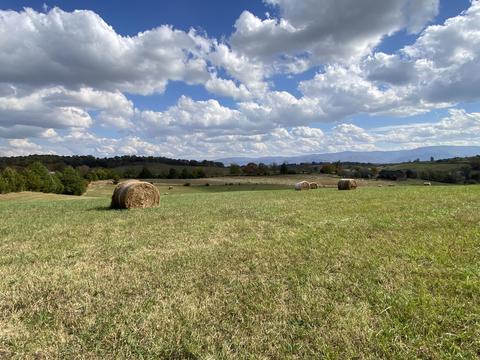 1686 N Heritage Road Limestone Tn 37681, Limestone, TN 37681 photo 3