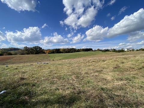 1686 N Heritage Road Limestone Tn 37681, Limestone, TN 37681 photo 14