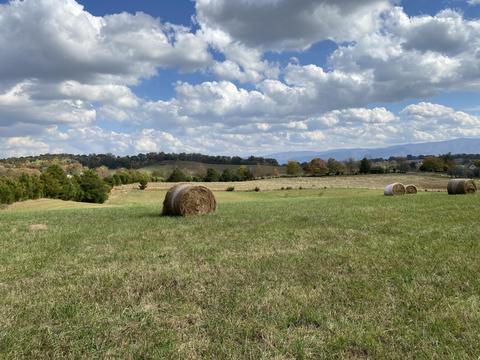 1686 N Heritage Road Limestone Tn 37681, Limestone, TN 37681 photo 8