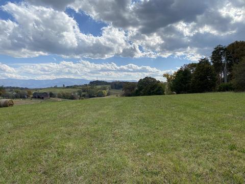 1686 N Heritage Road Limestone Tn 37681, Limestone, TN 37681 photo 6