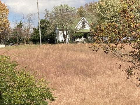 1686 N Heritage Road Limestone Tn 37681, Limestone, TN 37681 photo 19