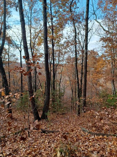 tbd St Tide Hollow Rd Off Newport Tn 37821, Newport, TN 37821