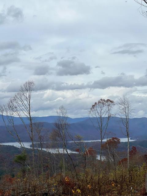 0 Lakeview Drive Butler Tn 37640, Butler, TN 37640